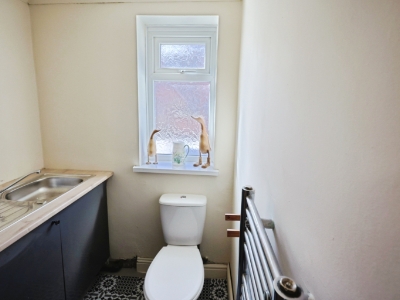 Picture 7